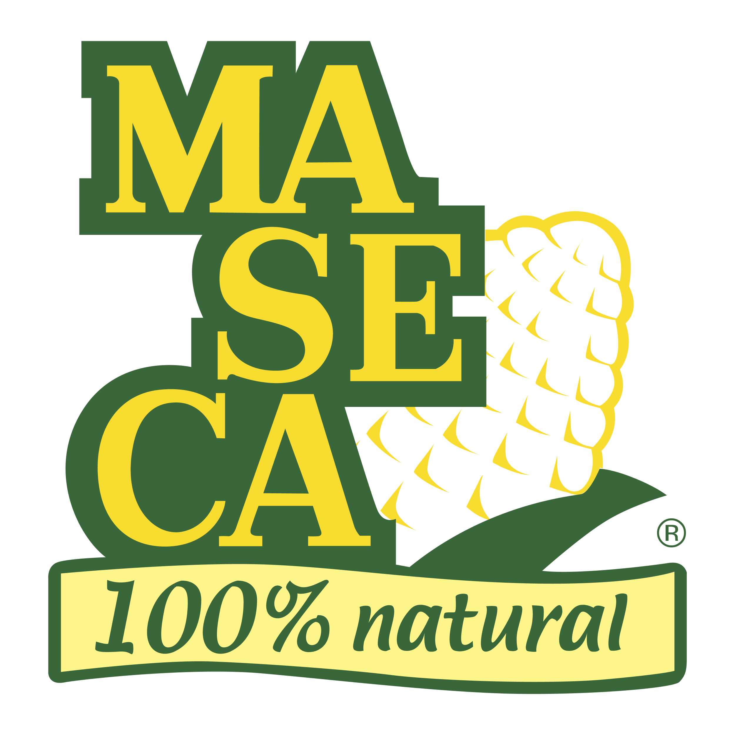 maseca logo (1) 1
